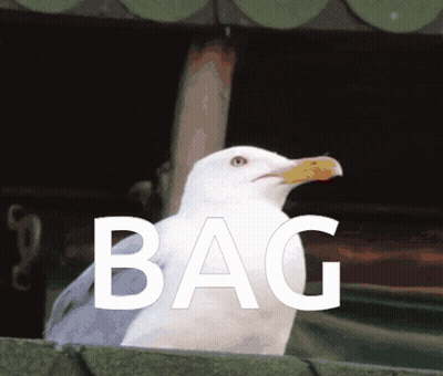 A Seagull Is Standing In Front Of A Sign That Reads Bag GIF
