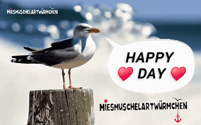 A Seagull Standing On A Stump With A Happy Day Speech Bubble Above It GIF