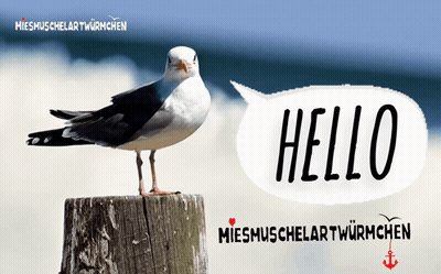 A Seagull Standing On A Wooden Post With A Speech Bubble Saying Hello GIF