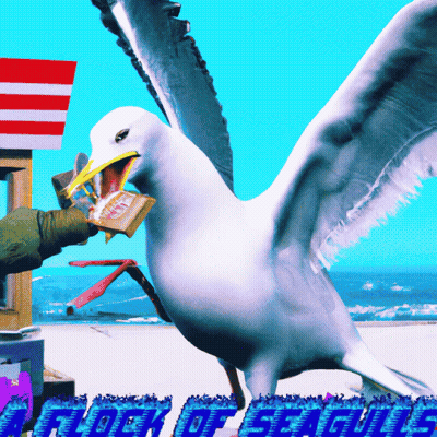 A Seagull With A Book In Its Beak And The Words A Flock Of Seagulls GIF