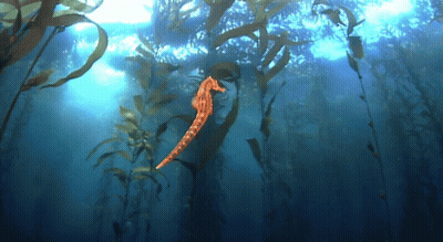 A Seahorse Is Swimming In The Ocean Surrounded By Plants GIF