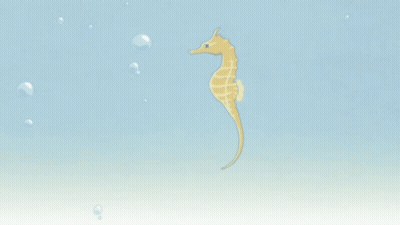 A Seahorse Is Swimming In The Water With Bubbles GIF