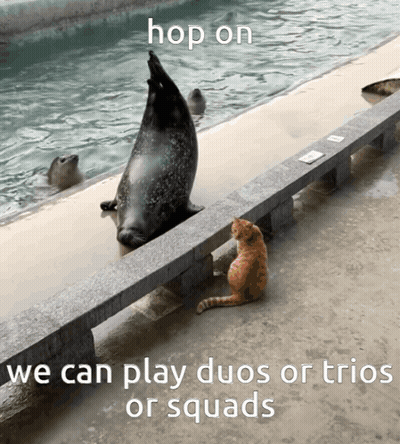A Seal And A Cat Are Sitting On A Bench With The Caption Hop On We Can Play Duos Or Trios Or Squads GIF