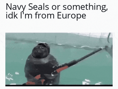A Seal Holding A Gun In The Water With The Words Navy Seals Or Something Idk I 'M From Europe GIF