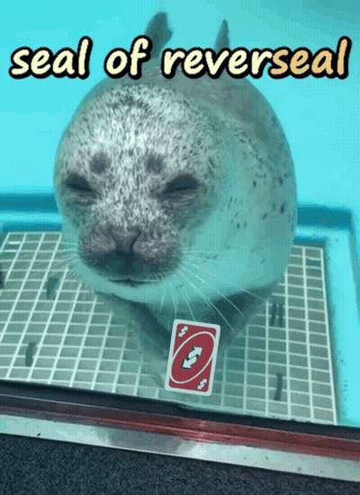 A Seal Holding A Uno Card In Its Mouth GIF