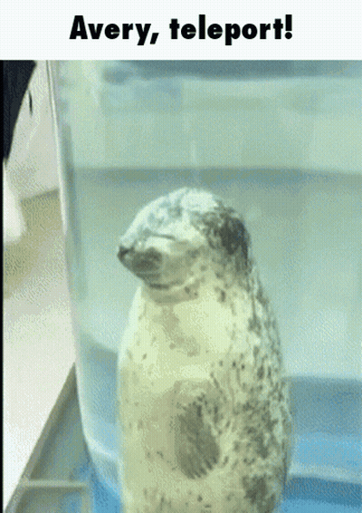 A Seal In A Glass Container With A Caption That Says Avery Teleport GIF
