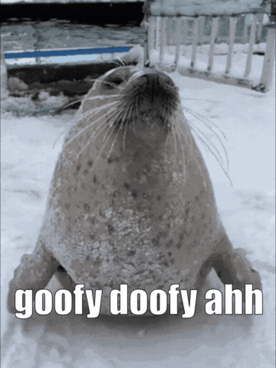A Seal In The Snow With The Words Goofy Doofy Ahh GIF