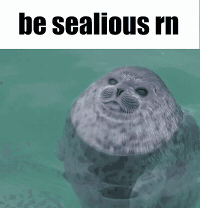 A Seal In The Water With The Words Be Sealious Rn Below It GIF