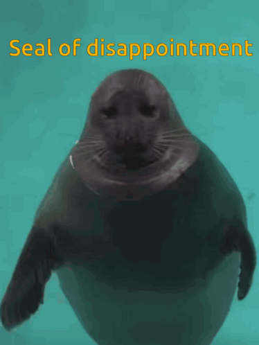 A Seal In The Water With The Words Seal Of Disappointment Below It GIF