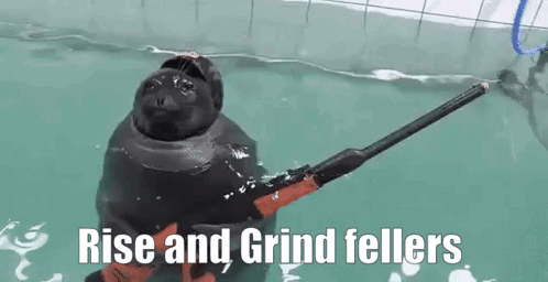 A Seal Is Holding A Stick In The Water With The Words `` Rise And Grind Fellers '' Written Below It . GIF