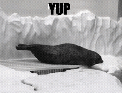 A Seal Is Laying In The Snow With The Word Yup Behind It GIF