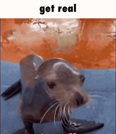 A Seal Is Looking At The Camera With The Words Get Real Above It . GIF