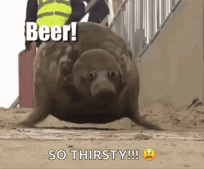 A Seal Is Walking On The Ground With The Words `` Beer ! So Thirsty ! '' Above It . GIF