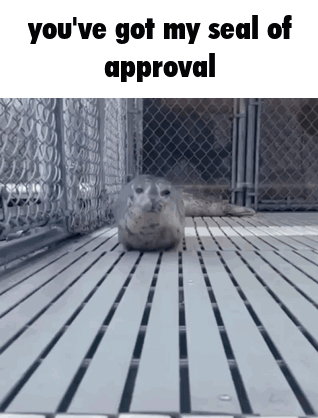A Seal Laying On A Wooden Floor With The Words You 'Ve Got My Seal Of Approval Below It GIF