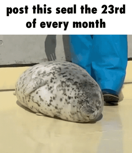 A Seal Laying On The Ground With The Words Post This Seal The 23Rd Of Every Month Underneath It GIF