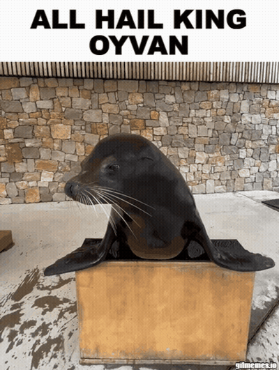 A Seal Sitting On Top Of A Wooden Box With The Words All Hail King Oyvan Below It GIF