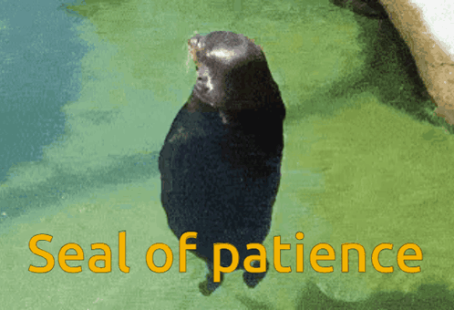A Seal Standing In The Water With The Words Seal Of Patience Below It GIF