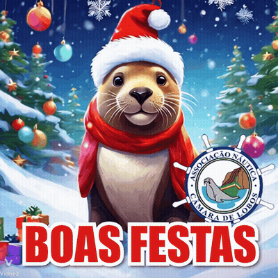 A Seal Wearing A Santa Hat And Scarf With The Words Boas Festas GIF
