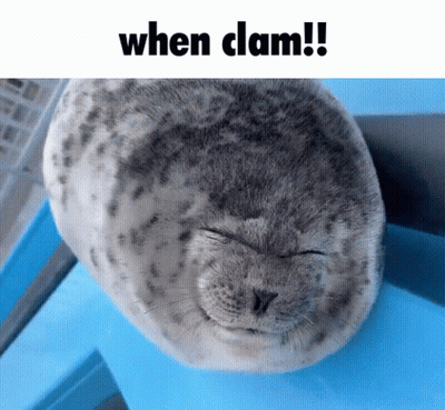 A Seal With Its Eyes Closed And The Caption When Clam GIF