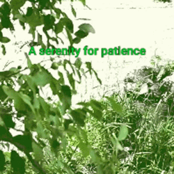 A Serenity For Patience GIF