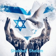 A Shabbat Shalom Poster With A Dove And A Star GIF