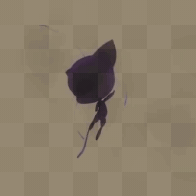 A Shadow Of A Cat Is Flying Through The Air On A White Background . GIF