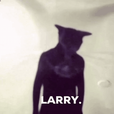 A Shadow Of A Person With A Cat 'S Head And The Word Larry On The Bottom GIF