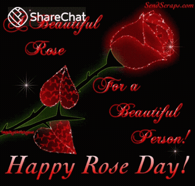 A Sharechat Beautiful Rose For A Beautiful Person Greeting Card GIF