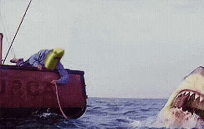 a shark is attacking a boat in the ocean