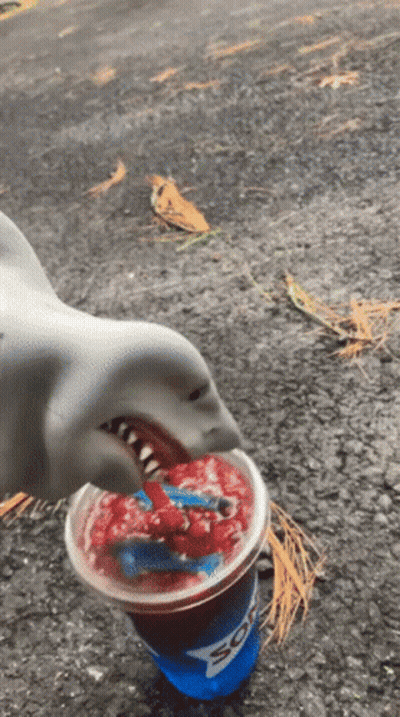 A Shark Is Drinking From A Pepsi Cup On The Ground GIF