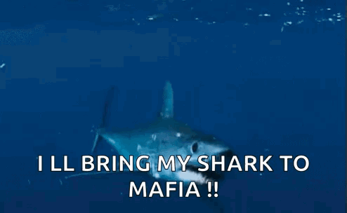 A Shark Is Saying I Ll Bring My Shark To Mafia ! GIF