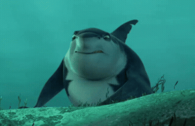 A Shark Is Swimming In The Ocean And Looking At The Camera GIF