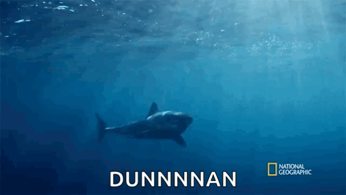 A Shark Is Swimming In The Ocean With The Name Dunnnan Written On The Bottom GIF
