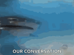 A Shark Is Swimming In The Ocean With The Words Our Conversation Behind It . GIF