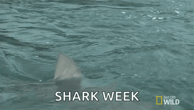 A Shark Is Swimming In The Ocean With The Words Shark Week Written On The Bottom GIF