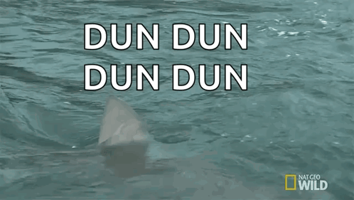 A Shark Is Swimming In The Water With The Words Dun Dun Dun Dun On The Bottom GIF
