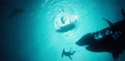 A Shark Is Swimming Near A Person On A Surfboard In The Ocean . GIF