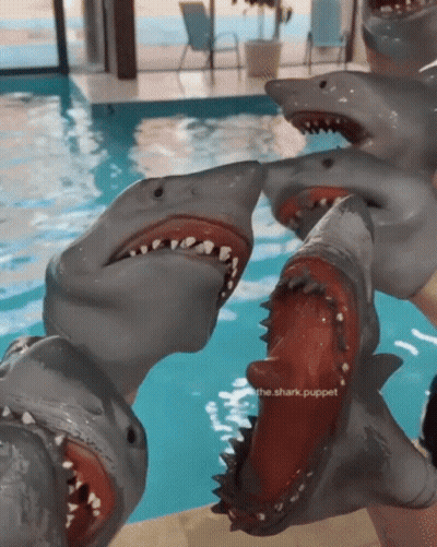 A Shark Puppet Is Being Held By A Person In Front Of A Pool GIF