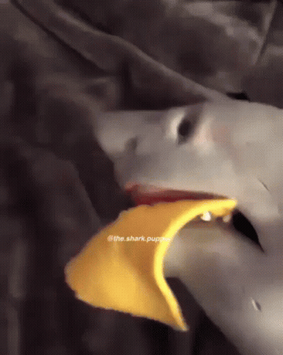 A Shark Puppet Is Eating A Piece Of Food GIF