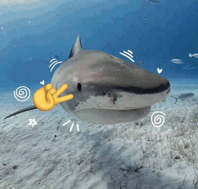 A Shark With A Thumbs Up Sign On Its Face GIF