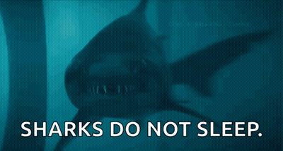A Shark With The Words Sharks Do Not Sleep Below It GIF