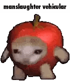 A Sheep Dressed As An Apple With The Words `` Manslaughter Vehicle '' On It . GIF
