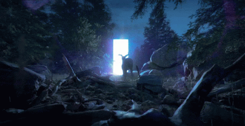A Sheep Is Standing In Front Of A Door In The Woods GIF
