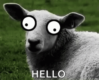 A Sheep With Glasses On Its Eyes Is Laying In The Grass And Saying Hello . GIF