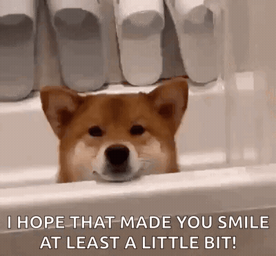 A Shiba Inu Dog Is Sticking Its Head Out Of A Bathtub And Smiling . GIF