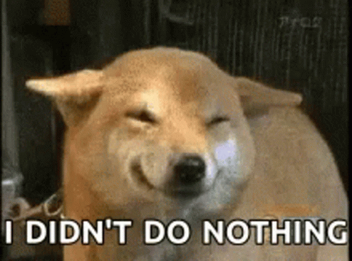 A Shiba Inu Dog With Its Eyes Closed And The Words `` I Did N't Do Nothing '' Written Below It . GIF