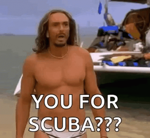 A Shirtless Man In A Bathing Suit Is Standing On A Beach And Says `` You For Scuba '' . GIF