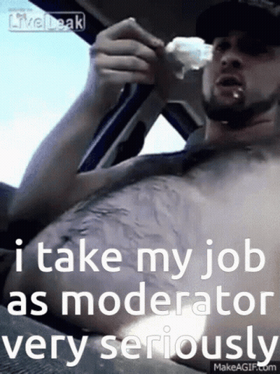 A Shirtless Man In A Car Says " I Take My Job As Moderator Very Seriously " GIF
