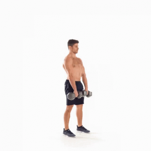 A Shirtless Man Is Holding Two Dumbbells In His Hands While Standing On A White Background . GIF