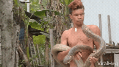 A Shirtless Man Is Holding Two Snakes In His Hands And The Words Viralhog Are Visible In The Corner GIF
